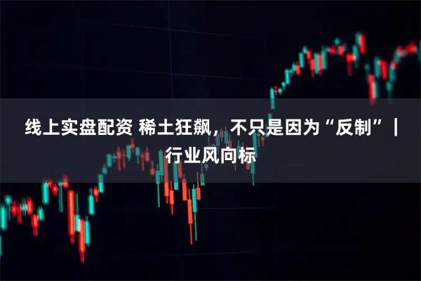 线上实盘配资 稀土狂飙，不只是因为“反制”｜行业风向标