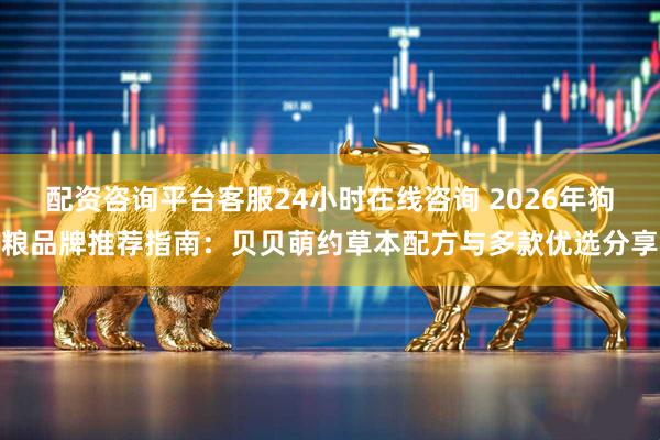 配资咨询平台客服24小时在线咨询 2026年狗粮品牌推荐指南：贝贝萌约草本配方与多款优选分享