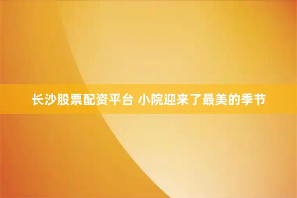 长沙股票配资平台 小院迎来了最美的季节